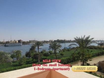 Sunny Luxor - image 11