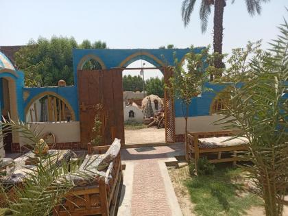 Arabia Golden Palace Garden  - image 13