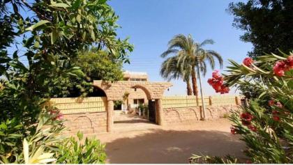 hathor guest house - image 7